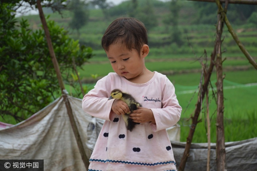 Cô bé 2 tuổi từng nằm dưới mộ mỗi ngày để Cô bé 2 tuổi từng nằm dưới mộ mỗi ngày để