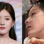 Triệu Lộ Tư: Từ Hoa ngữ đình đám đến ngôi sao bị trầm cảm kiệt quệ fotojet 2025 01 08t073709001 1736296635944241036572 0 0 335 640 crop 173629664381163540008jpg