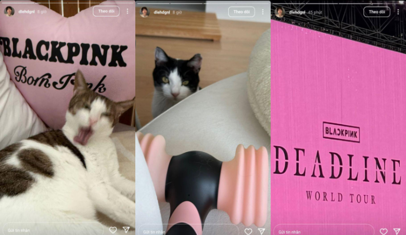 Dàn sao đu concert BLACKPINK ngày 2 còn khủng hơn ngày 1: Tình tin đồn Jisoo - Jennie, kình địch BTS - TWICE đều lộ diện!- Ảnh 12.