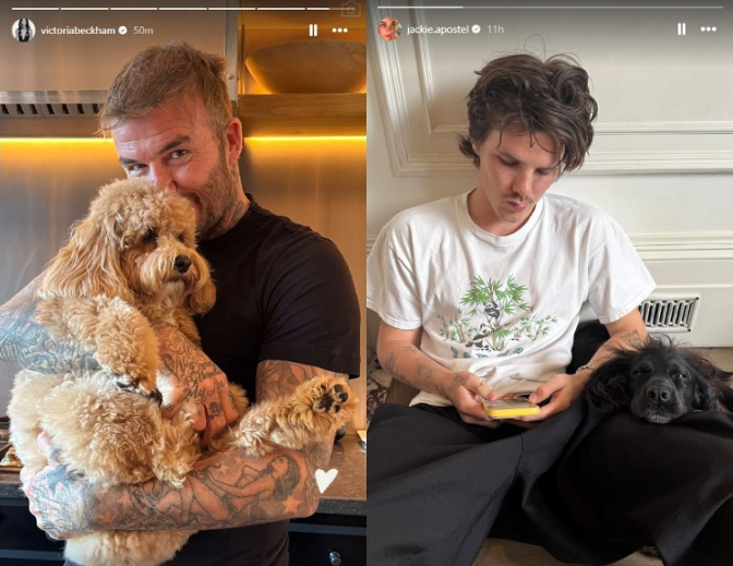 Beckham có nước đi không ngờ giữa drama Beckham có nước đi không ngờ giữa drama