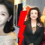 Gia đình Từ Hy Viên và nhà chồng cũ doanh nhân khẩu chiến tưng bừng: Chuyện gì đây? fotojet 65 173882382810152114517 0 0 335 640 crop 1738823835371780917076jpg