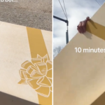 Nhặt được chiếc hộp bị vứt trên vỉa hè, cô gái kinh ngạc khi mở ra xem bên trong g dress 1743996400584 17439964012211325638899 24 0 962 1500 crop 1743996568130611085818 1744003634716 17440036349341966837630 0 0 477 764 crop 17440036558591786081786png