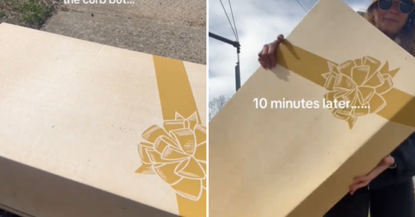 Nhặt được chiếc hộp bị vứt trên vỉa hè, cô gái kinh ngạc khi mở ra xem bên trong g dress 1743996400584 17439964012211325638899 24 0 962 1500 crop 1743996568130611085818 1744003634716 17440036349341966837630 0 0 477 764 crop 17440036558591786081786png