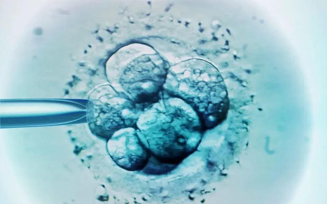 Chuyển nhầm phôi thai khiến một phụ nữ sinh con của người khác- Ảnh 1.