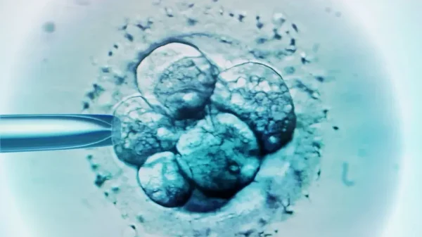 Chuyển nhầm phôi thai khiến một phụ nữ sinh con của người khác 27 Chuyển nhầm phôi thai khiến một phụ nữ sinh con của người khác gettyimages 136810267 68405933674889534015929 39096544164770946288658 17444204250191829860116