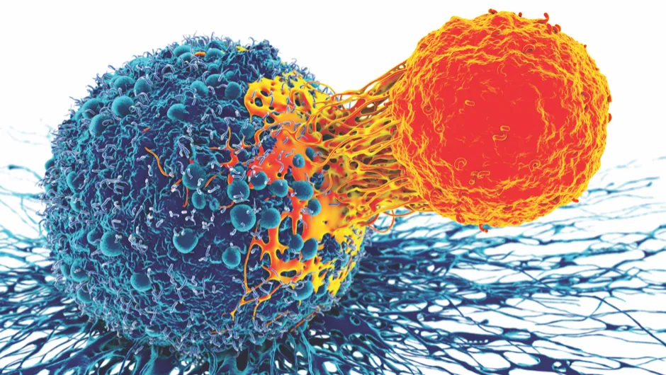 Phát triển vaccine ung thư có hiệu lực mạnh mẽ- Ảnh 2.