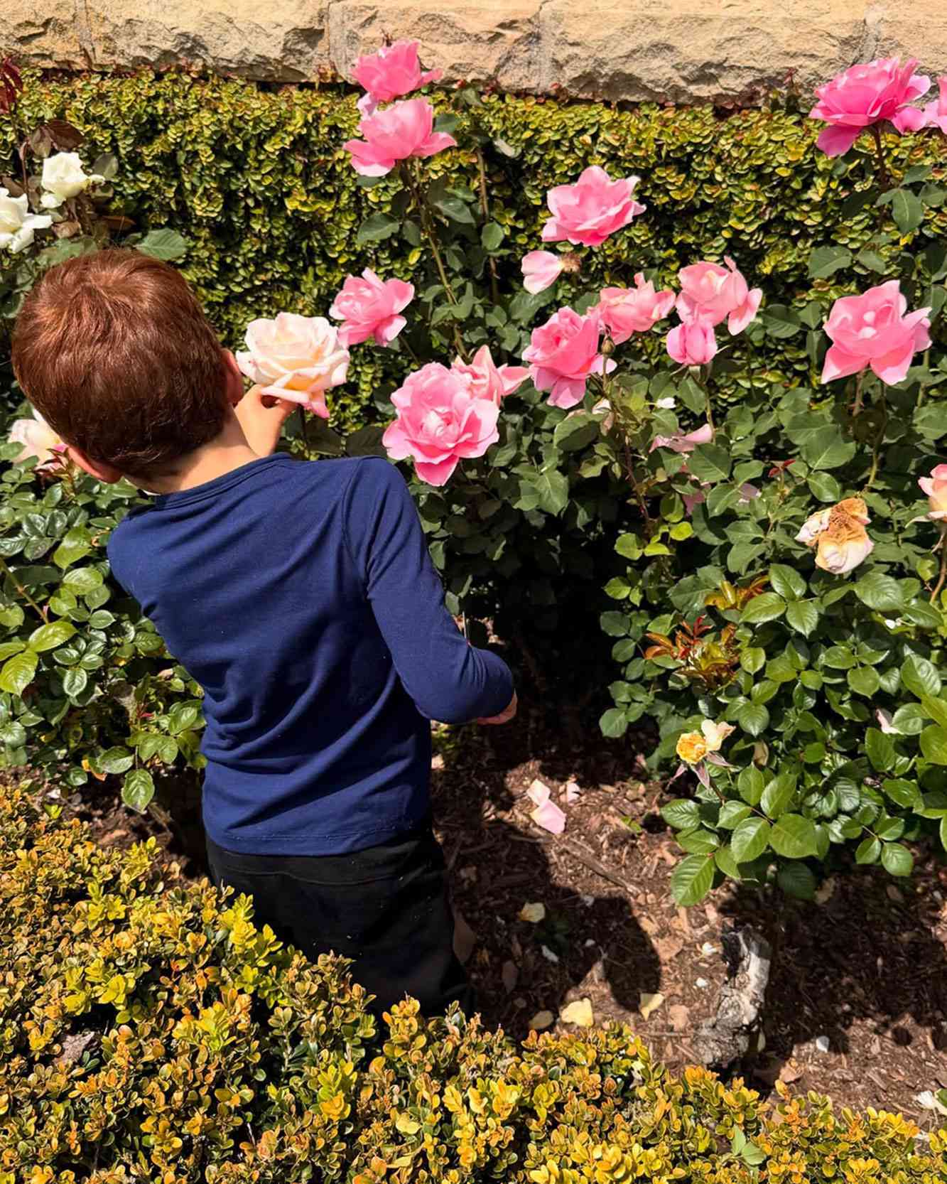 Meghan khoe ảnh mới của Hoàng tử Archie và Công chúa Lilibet cùng mái tóc đỏ tuyệt đẹp- Ảnh 2.