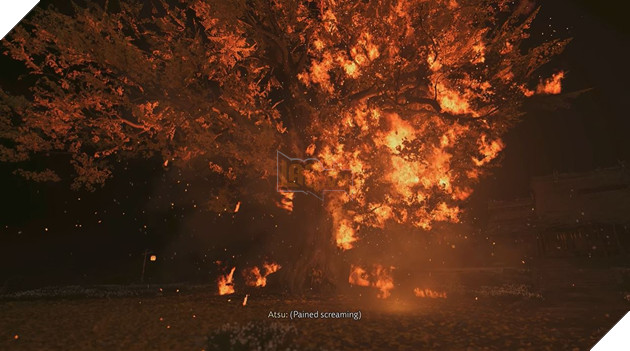 Ghost of Yotei: Y Nghia Sau Sac Cua Cay Bach Qua Trong Game 3 Ghost of Yotei: Ý Nghĩa Sâu Sắc Của Cây Bạch Quả Trong Game 3