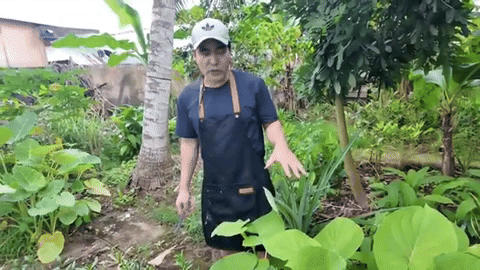 Nam diễn viên là Nam diễn viên là