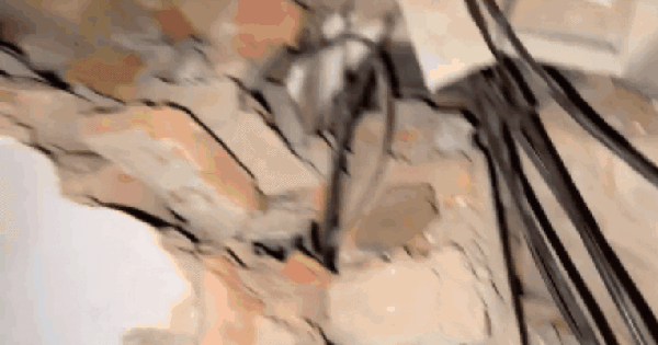 Video nghẹt thở hé lộ cảnh mắc kẹt trong đống đổ nát ở Myanmar: Hai bé gái cùng bà để lại thông điệp cuối cùng giữa tuyệt vọng giphy 12 17435668573521978648430 0 0 422 675 crop 17435668791961708291207 1743568268708 17435682693681391615122 0 0 477 764 crop 17435684154062087941371gifpng