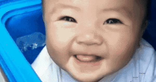 "Em bé shipper" chui trong thùng đựng đồ ăn, cùng bố đi ship hàng muôn nơi hiện tại ra sao? 29 "Em bé shipper" chui trong thùng đựng đồ ăn, cùng bố đi ship hàng muôn nơi hiện tại ra sao? giphy 17507565648221011655190 66 0 277 338 crop 17507565807632125626197 1750775976069 1750775976267216490864 0 0 477 763 crop 17507759995781564019247gifpng