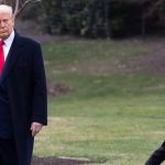 Tổng thống Donald Trump cưng chiều con trai tỉ phú Elon Musk gmd5qtzaaaabr3m 17420248106421571686073 1742032582216 17420325824161921720626 147 0 1000 1364 crop 17420326138892902902jpg