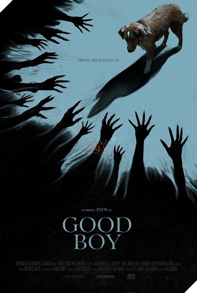 Hình ảnh poster phim Good Boy