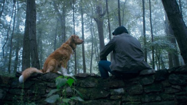 Chú Chó Indy Trong Phim Kinh Dị Good Boy Kêu Gọi Oscar Công Nhận Diễn Viên Động Vật good boy3 widvjpg