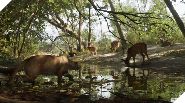 Cựu Nhân Viên Rockstar Games Tiết Lộ Quãng Thời Gian Thực Hiện GTA 6