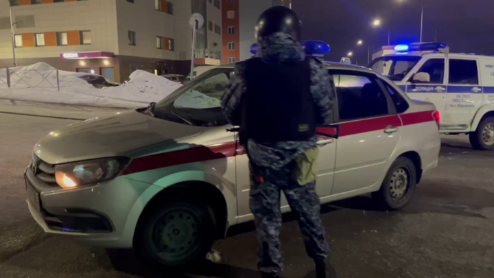 Người đàn ông trèo lên mái nhà xả súng xuống nhà dân ở Nga- Ảnh 1.