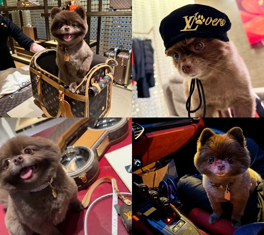 Phát hiện đối tượng được “ngọc nữ” bao nuôi: Ở siêu biệt thự, hàng hiệu dát đầy người- Ảnh 2.