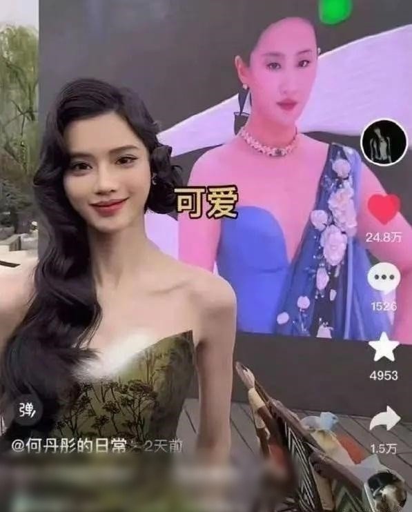 Lưu Diệc Phi vướng ồn ào - 1