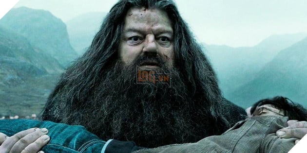 Bản Truyền Hình Của Harry Potter Đã Tìm Được Ngôi Sao Sắm Vai Bác Hagrid 3