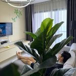 Thông tin sai về Huỳnh Anh Tuấn hat 1 1754114905145 17541149053621199091976