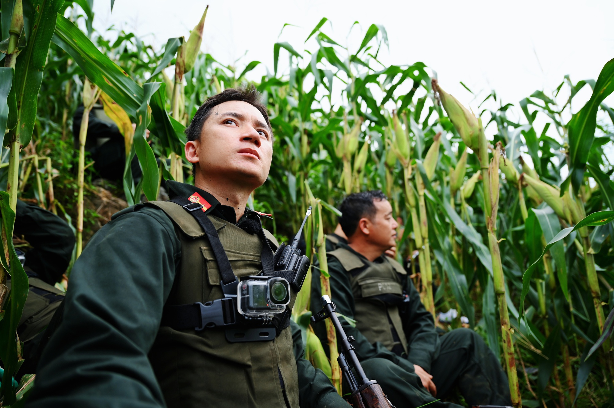 Nghệ sĩ tham gia Nghệ sĩ tham gia