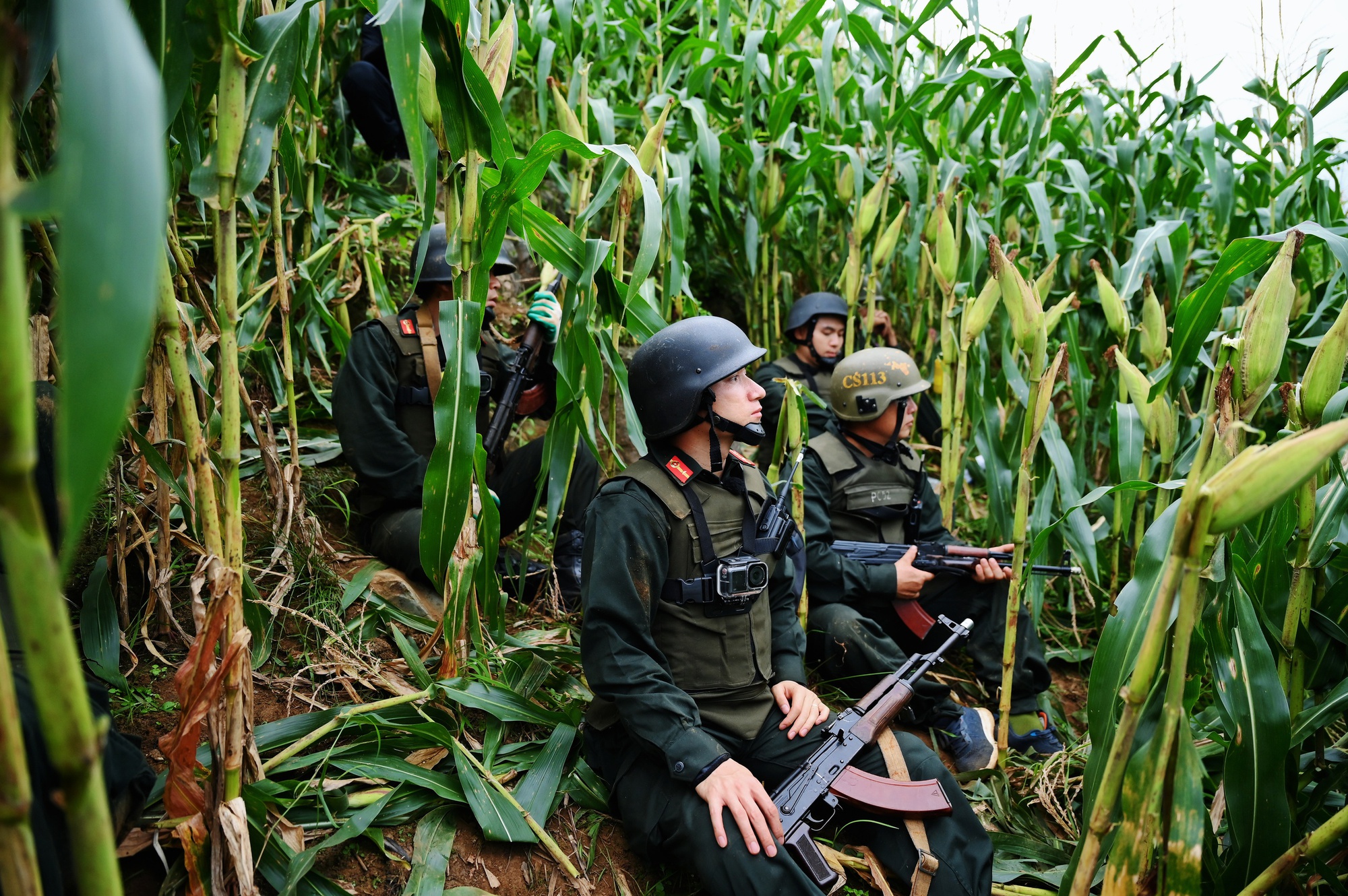 Nghệ sĩ tham gia Nghệ sĩ tham gia