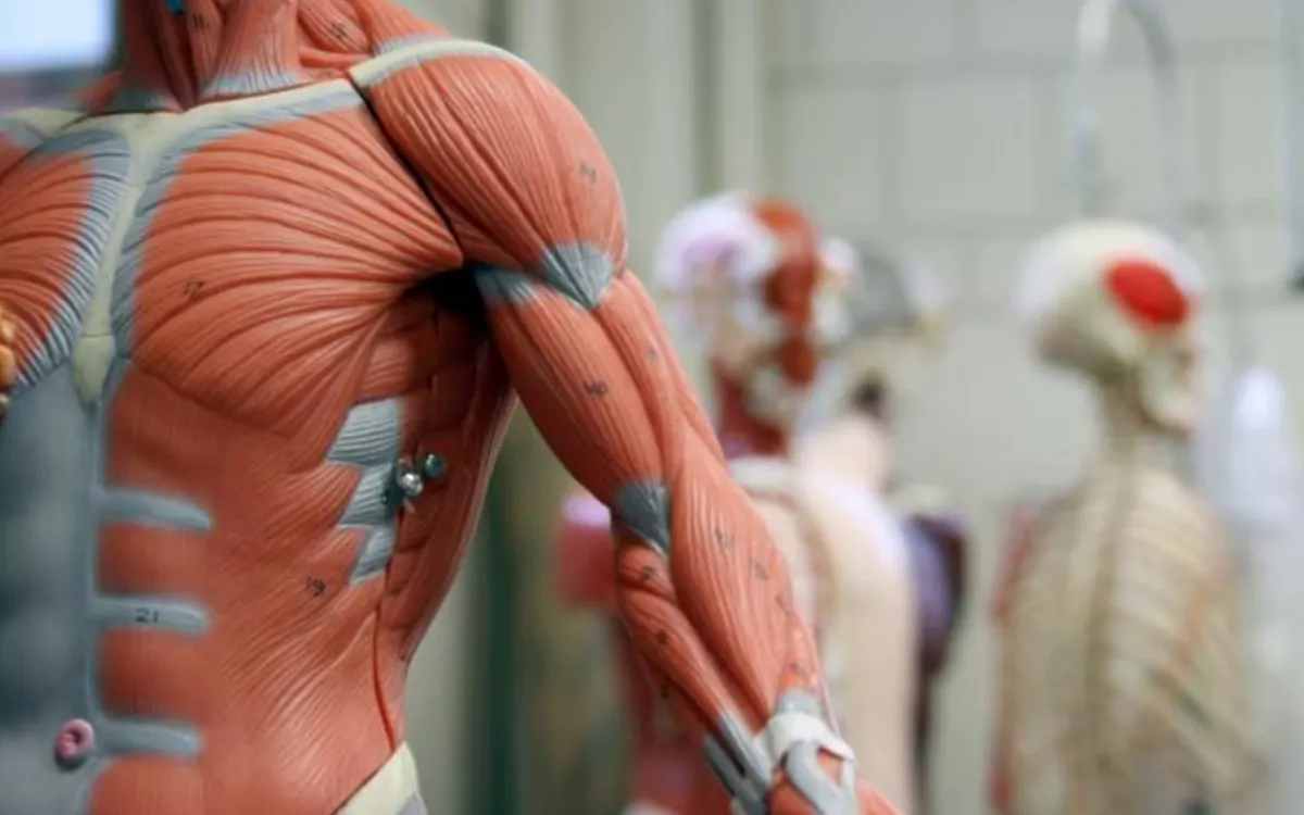 (Ảnh minh họa: ABC)