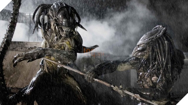 Hình ảnh về thương hiệu phim