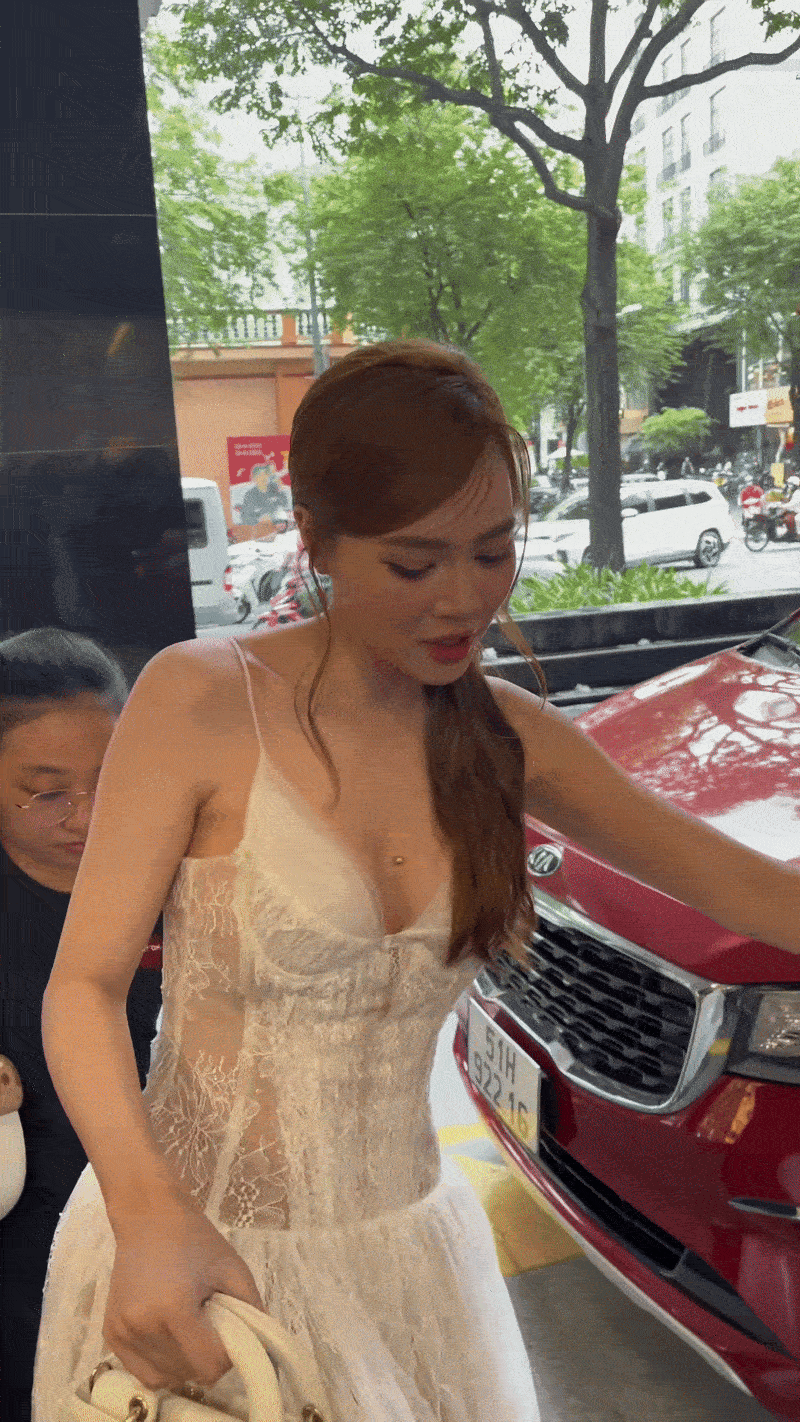 Ninh Dương Lan Ngọc có phải dừng hoạt động?- Ảnh 2.