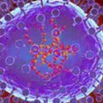 Nga xác định nhóm nguy cơ nhiễm virus HMPV ho hap 05012025 43961252979179793788497 15505756552477369327084 1736210252042 1736210258186231863360 21 0 146 200 crop 1736210318462207792916jpg