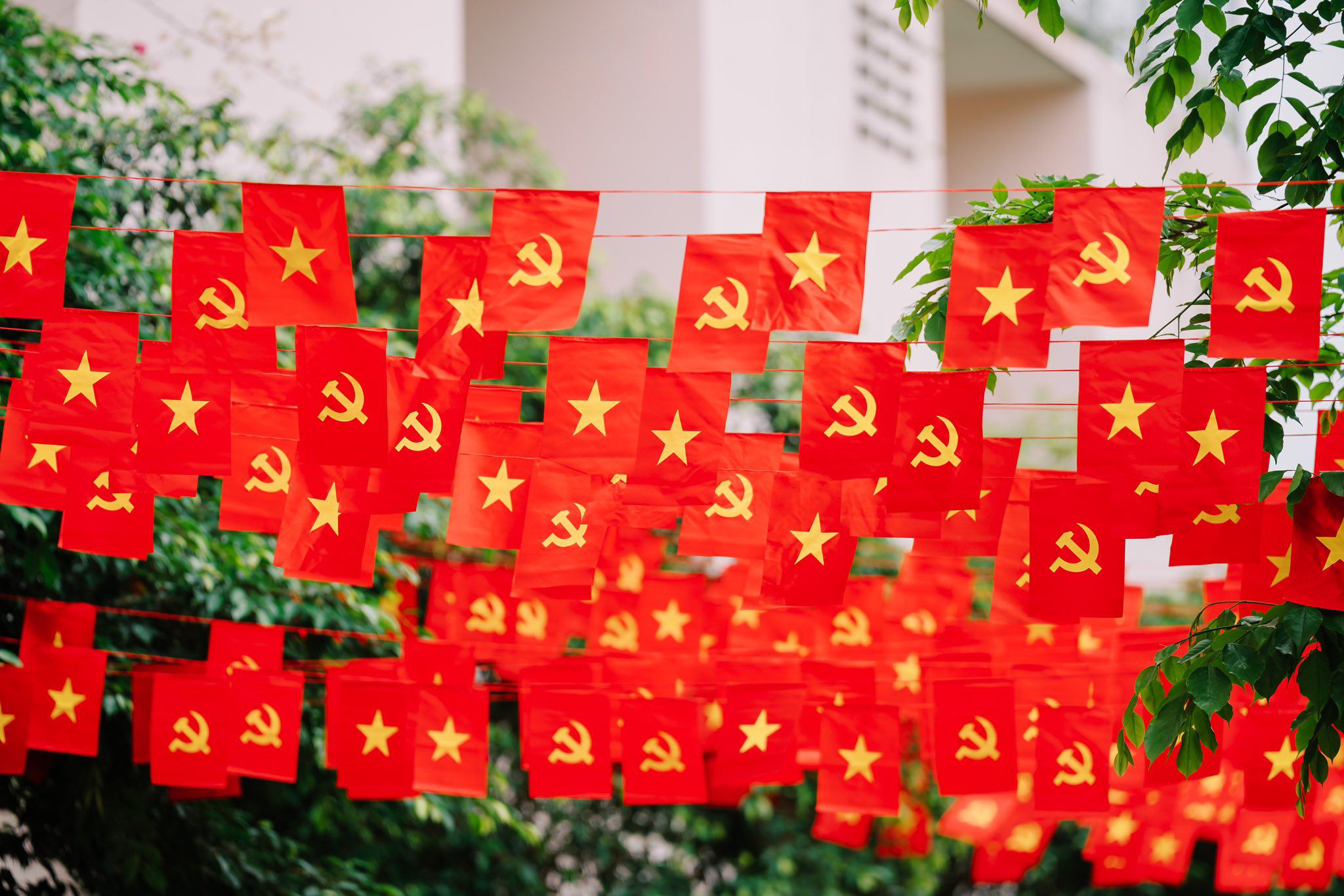 Hạnh phúc khi chúng ta được sống trong cảnh hòa bình, đâu đâu cũng rợp bóng cờ hoa (Ảnh: Đinh Mai Anh)