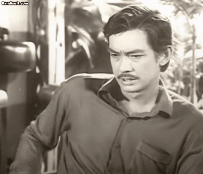 Cận cảnh nhan sắc tài tử điện ảnh đẹp nhất Việt Nam, hơn 40 năm vẫn chưa có ai sánh bằng- Ảnh 3.