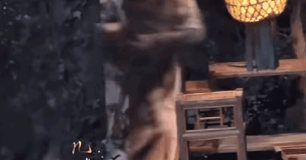 Giật mình cảnh mỹ nhân 100 tỷ view ngã đập đầu vào bàn đá: Đau không đứng dậy nổi, xem mà sợ online honeycam 2025 07 11 10 44 26 17522080741462022309002 22 0 431 781 crop 17522081008871557707799gifpng