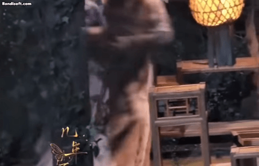 Giật mình cảnh mỹ nhân 100 tỷ view ngã đập đầu vào bàn đá: Đau không đứng dậy nổi, xem mà sợ online- Ảnh 1. Giật mình cảnh mỹ nhân 100 tỷ view ngã đập đầu vào bàn đá: Đau không đứng dậy nổi, xem mà sợ online- Ảnh 1.