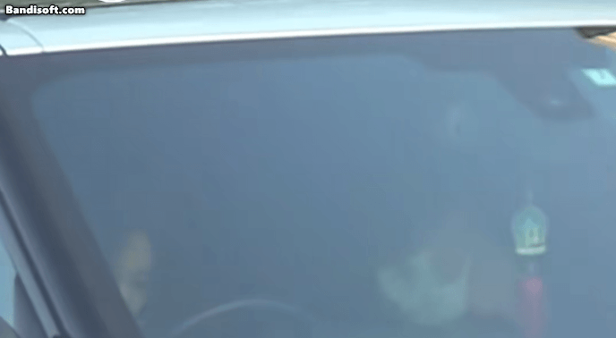 Cặp đôi phim giả tình thật lộ clip hẹn hò chấn động: Nhà gái đẹp quá sức chịu đựng, đóng phim giờ vàng hot nhất cả nước- Ảnh 2.