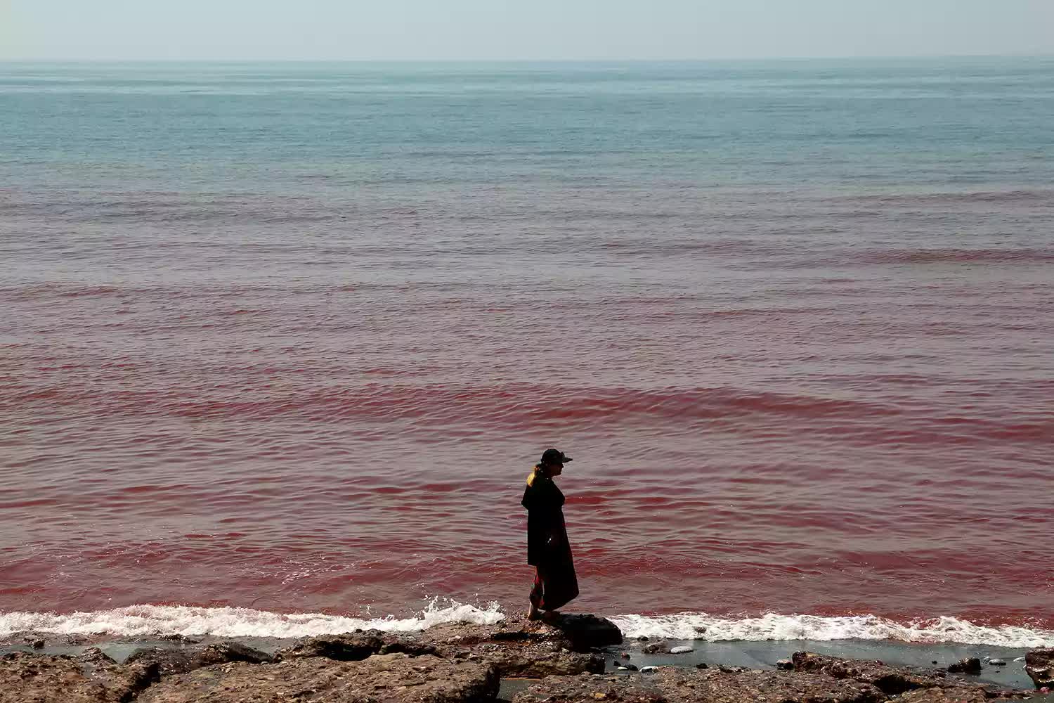 Video ghi lại cảnh tượng bãi biển bỗng chuyển màu