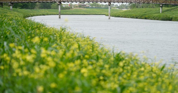 Cảnh sát Mỹ bất ngờ phát hiện hàng loạt thi thể trôi trên sông ở Texas: Chuyện gì đã xảy ra? 28 Cảnh sát Mỹ bất ngờ phát hiện hàng loạt thi thể trôi trên sông ở Texas: Chuyện gì đã xảy ra? houston bayous bodies found land 1760143515039 17601435154261808848922 0 0 405 648 crop 1760143587739329365381jpg
