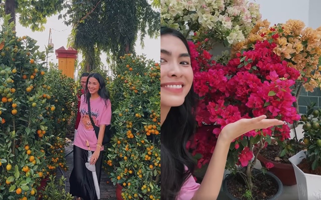 Hội dâu hào môn làm gì ngày Tết: Tăng Thanh Hà xông xáo nội trợ, tất bật lo việc nhà cửa, Mai Ngọc thì hoàn toàn ngược lại- Ảnh 2. Hội dâu hào môn làm gì ngày Tết: Tăng Thanh Hà xông xáo nội trợ, tất bật lo việc nhà cửa, Mai Ngọc thì hoàn toàn ngược lại- Ảnh 2.