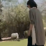 Rầm rộ tin cấm sóng vĩnh viễn nữ diễn viên H.T ht1 1763626320490688076020 0 0 255 487 crop 1763626340260521022907gifpng