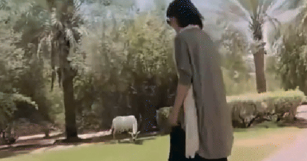 Rầm rộ tin cấm sóng vĩnh viễn nữ diễn viên H.T ht1 1763626320490688076020 0 0 255 487 crop 1763626340260521022907gifpng