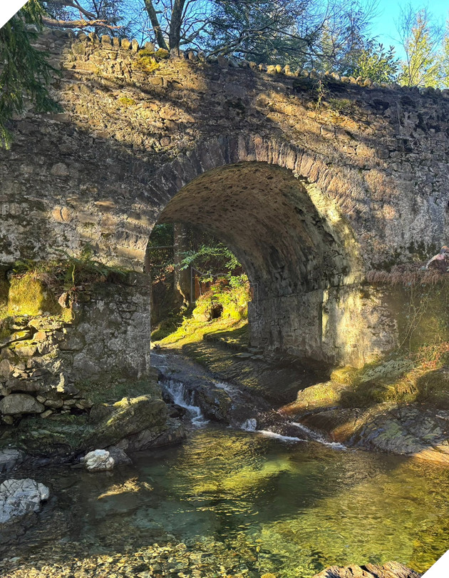 Ngôi Sao Phim Deadpool & Wolverine Chia Sẻ Cái Nhìn Đầu Tiên Về Phim Death of Robin Hood 3