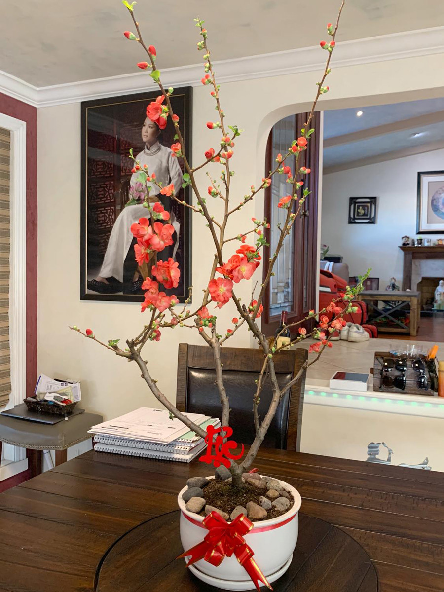 Nữ ca sĩ sở hữu 2 cơ ngơi hoành tráng, biệt thự ven biển trị giá 100 tỷ, U50 hôn nhân viên mãn- Ảnh 2.