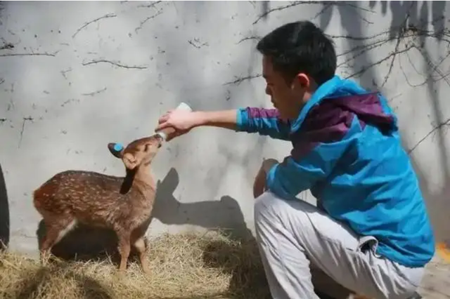 Đem con non 3 ngày tuổi về nuôi, chuyên gia hân hoan khi tìm thấy loài