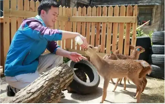 Đem con non 3 ngày tuổi về nuôi, chuyên gia hân hoan khi tìm thấy loài