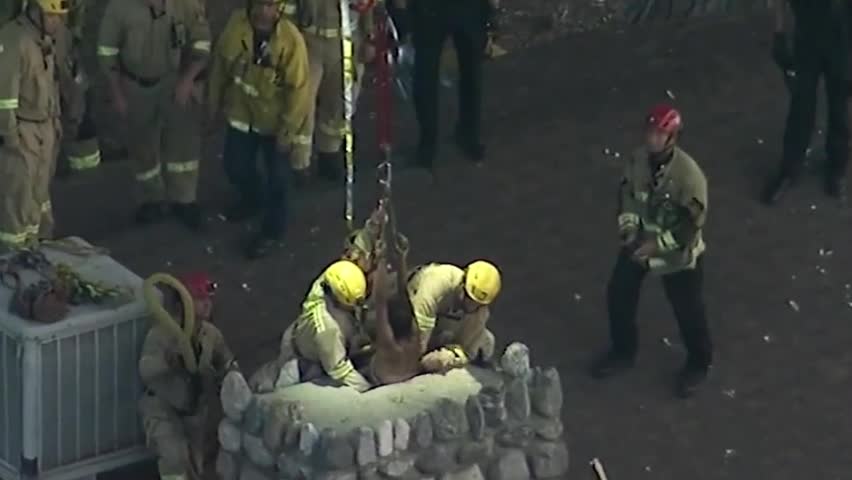 Người phụ nữ có hành vi bất thường bị mắc kẹt trong ống khói- Ảnh 1.