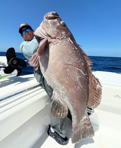 Ngư dân Florida bắt được cá mú Warsaw khổng lồ ở vùng nước sâu.