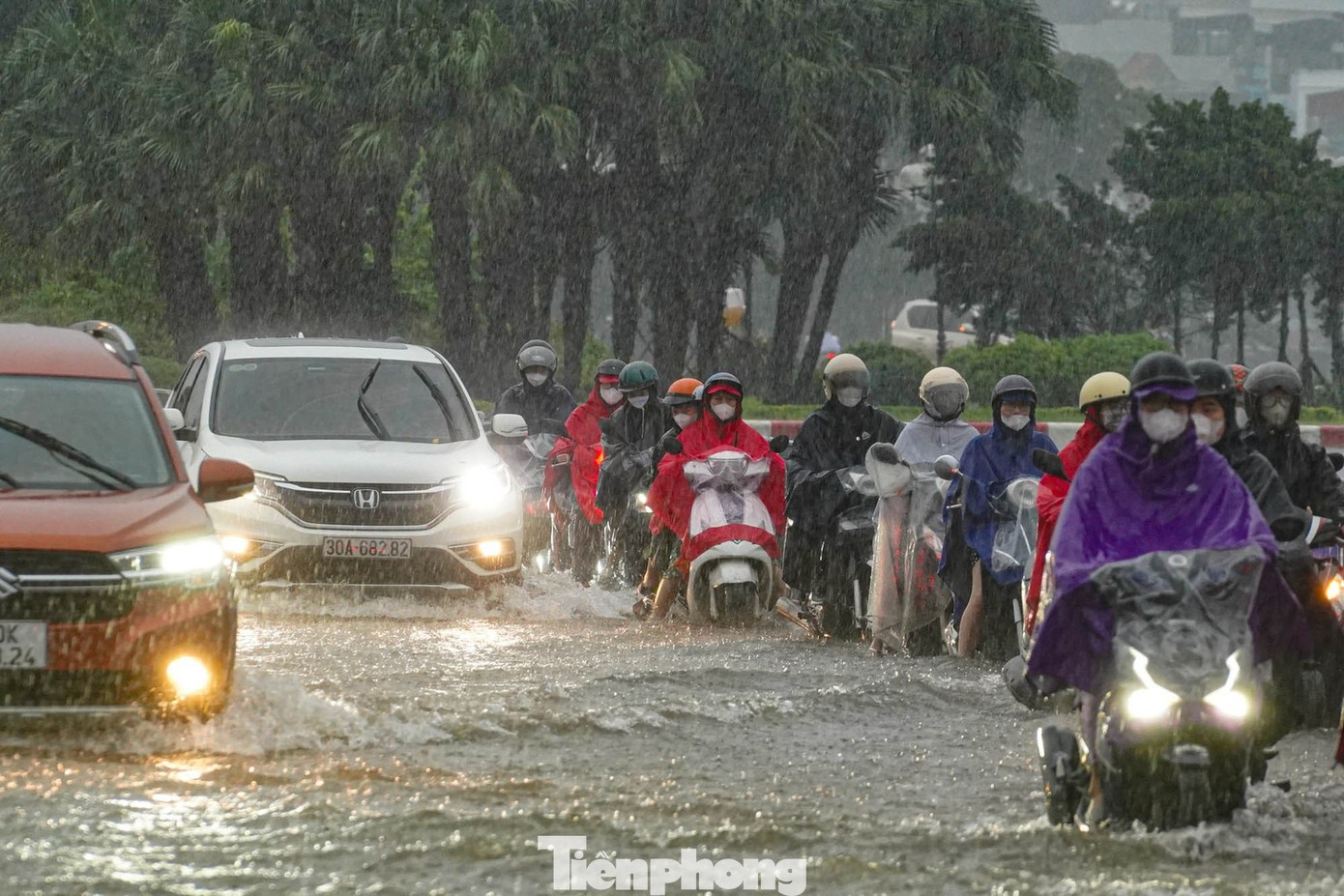 MC Thanh Mai cầu cứu- Ảnh 2.