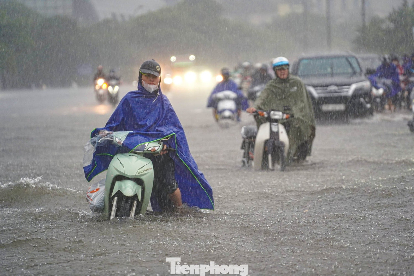 MC Thanh Mai cầu cứu- Ảnh 1.