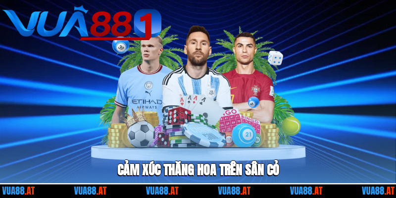 Cảm xúc thăng hoa trên sân cỏ