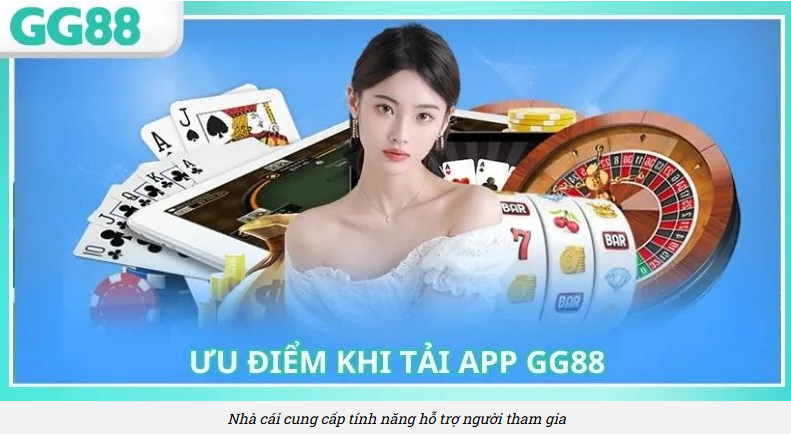 Nhà cái cung cấp tính năng hỗ trợ người tham gia